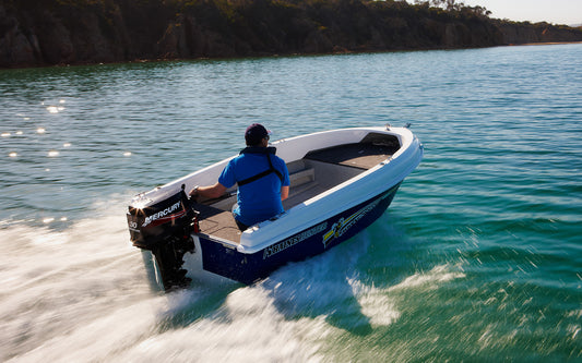 Haines Hunter 400 Seawasp